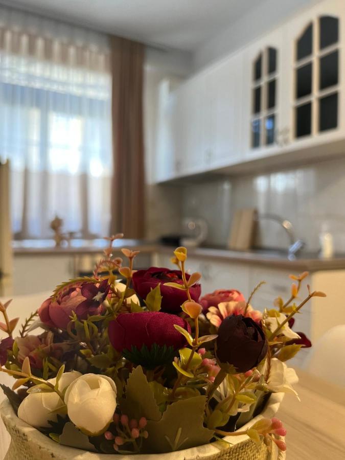 Sael Apartments Σκόδρα Εξωτερικό φωτογραφία