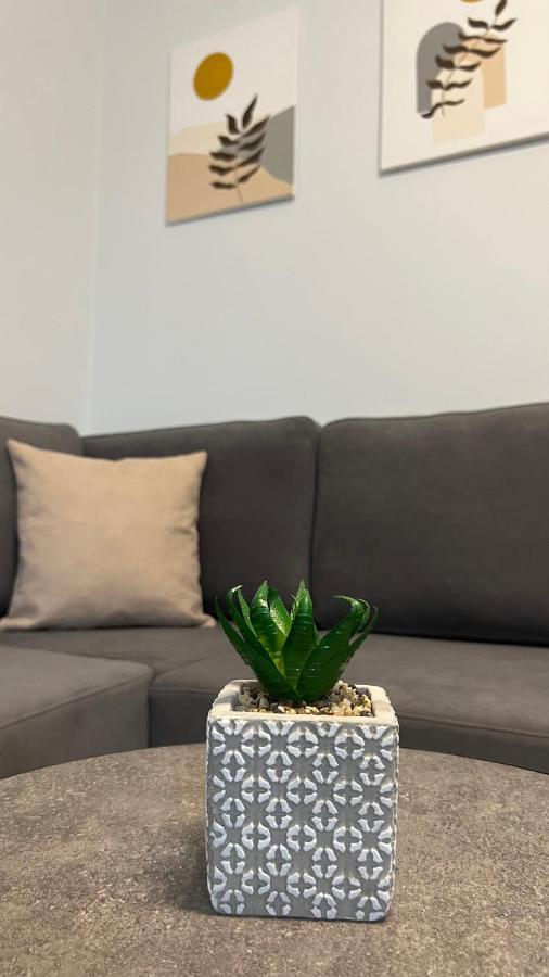 Sael Apartments Σκόδρα Εξωτερικό φωτογραφία